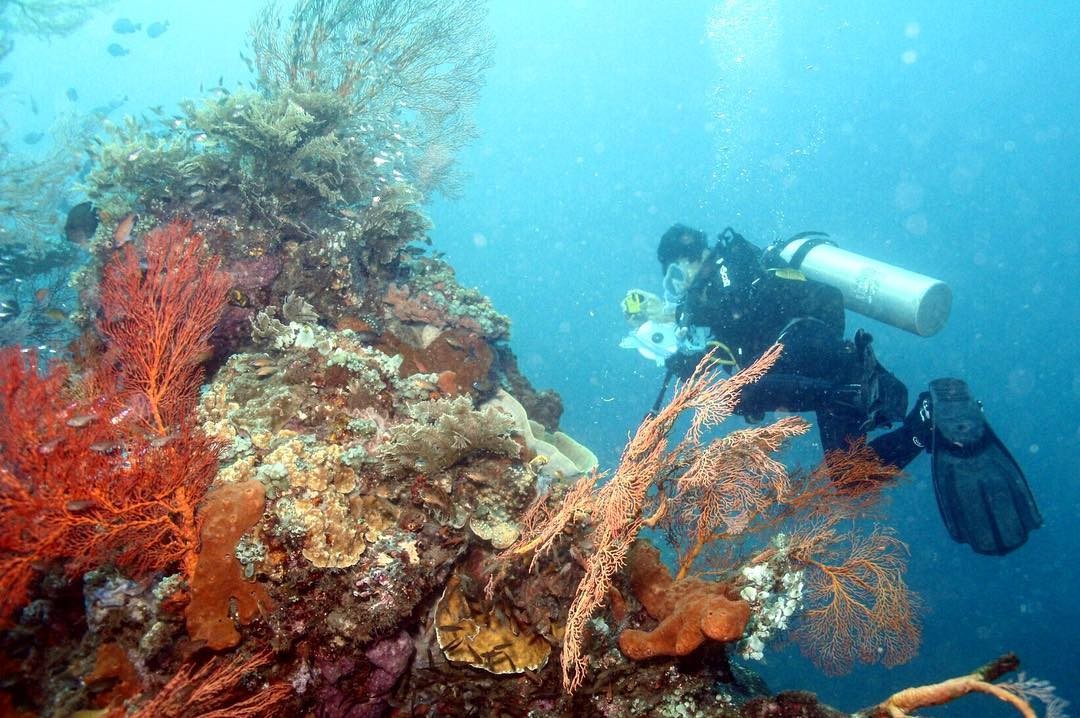 Salah satu pengunjung yang sedang snorkeling di perairan Mengiat Beach